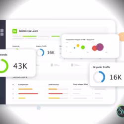 Rank Tracker 8.51.1 Professional - Yearly