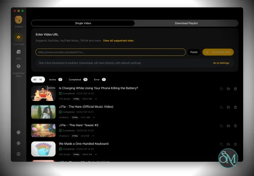 VidBee v1.3.14 VidBee v1.3.14
