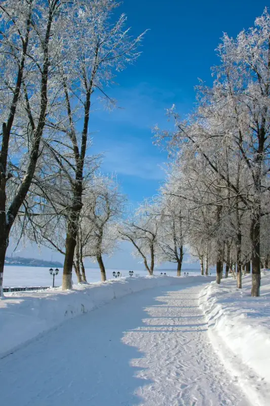 Winter