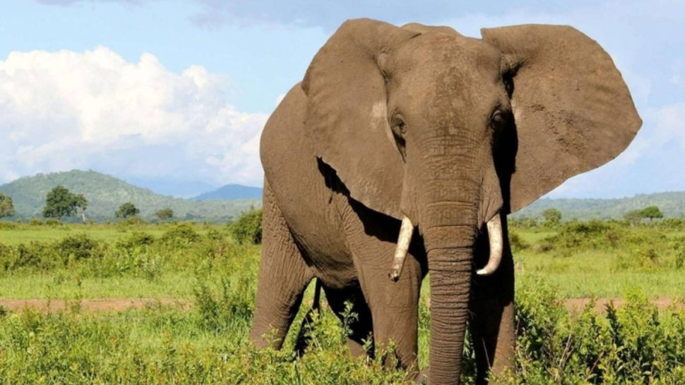 فيلتان من بولونيا عالقتان بميناء رادس.. دعوات لتدخل عاجل