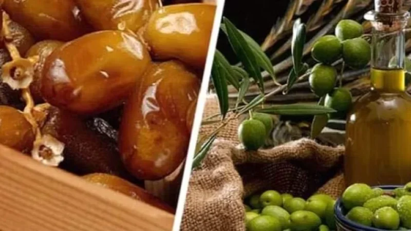 دار المصدر.. نحو تعزيز حضور المنتجات التونسية في السوق البولونية