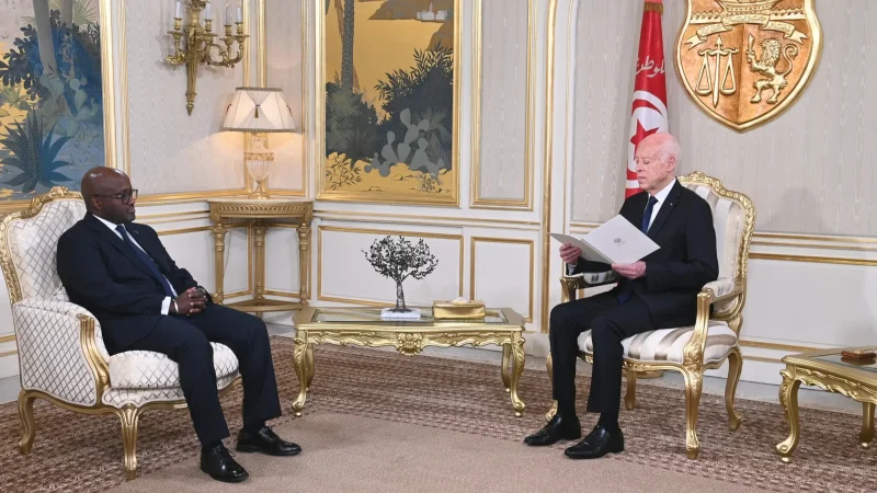رئيس الجمهورية: تونس تعتزّ بانتمائها الأفريقي