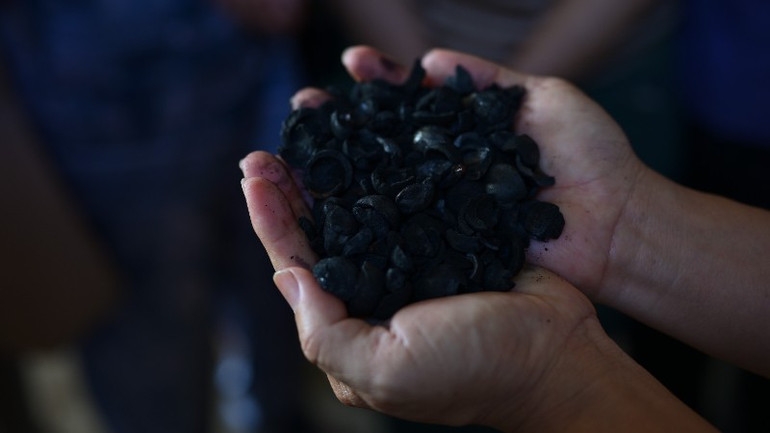 Than sinh học chất lượng cao thu được từ lò khí hóa Than sinh học chất lượng cao thu được từ lò khí hóa