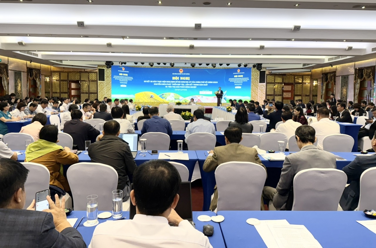 Sơ kết 6 năm thực hiện Nghị định số 98/2018/NĐ-CP về chính sách khuyến khích phát triển hợp tác, liên kết trong sản xuất và tiêu thụ sản phẩm nông ngh Sơ kết 6 năm thực hiện Nghị định số 98/2018/NĐ-CP về chính sách khuyến khích phát triển hợp tác, liên kết trong sản xuất và tiêu thụ sản phẩm nông ngh