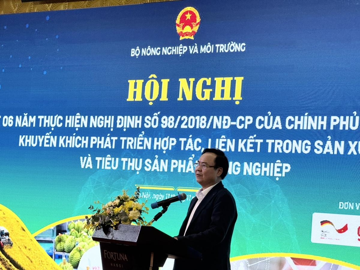 Sơ kết 6 năm thực hiện Nghị định số 98/2018/NĐ-CP về chính sách khuyến khích phát triển hợp tác, liên kết trong sản xuất và tiêu thụ sản phẩm nông ngh Sơ kết 6 năm thực hiện Nghị định số 98/2018/NĐ-CP về chính sách khuyến khích phát triển hợp tác, liên kết trong sản xuất và tiêu thụ sản phẩm nông ngh