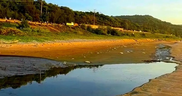 Xả nước thải đen ra biển Mũi Né, Khu du lịch Asteria bị xử phạt 50 triệu đồng