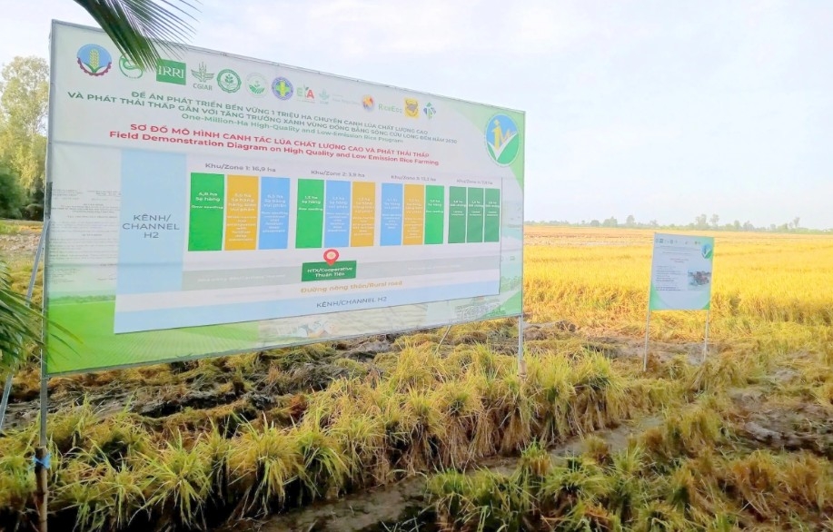 ViRiCert - Công cụ số dẫn đường cho cánh đồng lúa phát thải thấp tại Đồng bằng sông Cửu Long