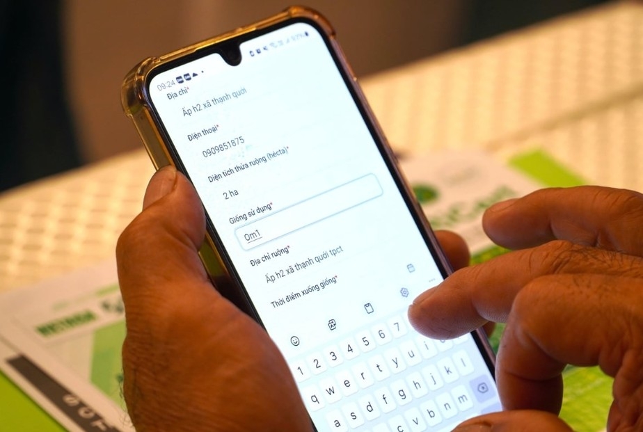 ViRiCert xây dựng bộ tiêu chí gồm 10 khâu thực hành, được kỳ vọng trở thành công cụ số dẫn đường cho cánh đồng lúa phát thải thấp. Ảnh minh họa