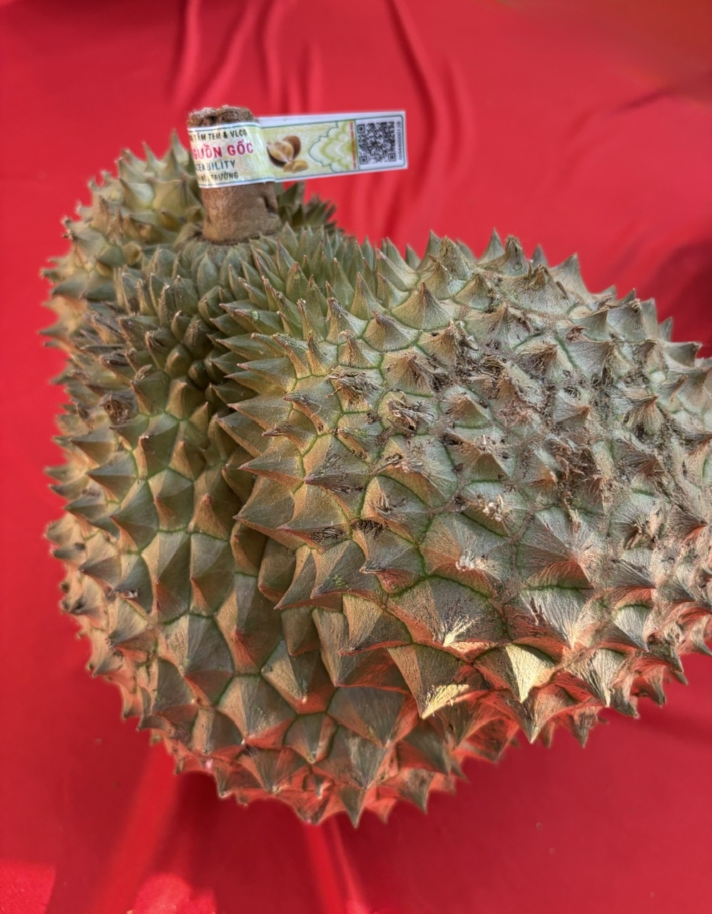 Chính thức ra mắt hệ thống truy xuất nguồn gốc nông sản Việt Nam Chính thức ra mắt hệ thống truy xuất nguồn gốc nông sản Việt Nam