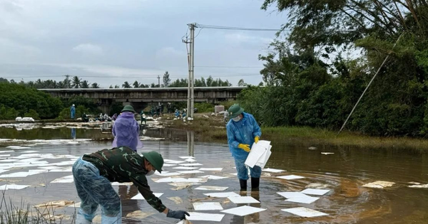 Quảng Ngãi: Phấn đấu khắc phục sự cố tràn dầu trước Tết Dương lịch