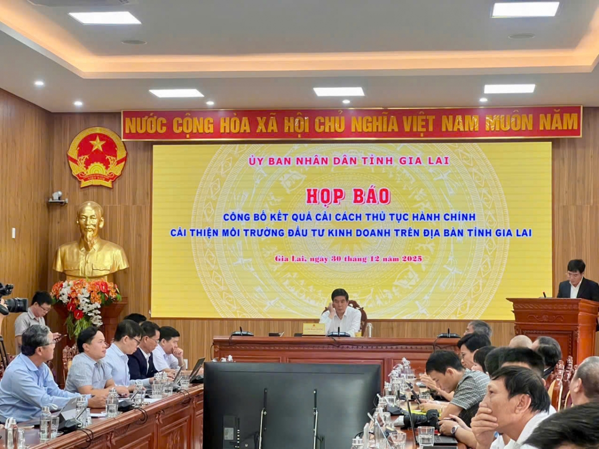 Phó Chủ tịch UBND tỉnh Gia Lai Lâm Hải Giang chủ trì buổi họp báo