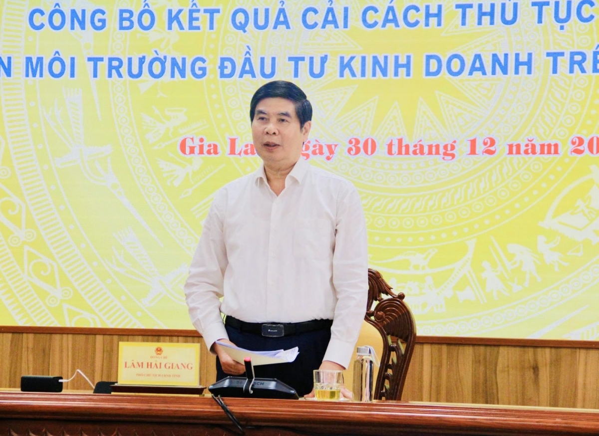 Phó Chủ tịch UBND tỉnh Gia Lai Lâm Hải Giang chủ trì buổi họp báo