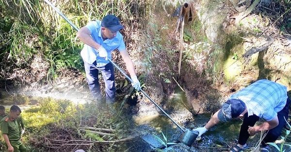 Quảng Ngãi xử phạt 95 triệu đồng, đình chỉ hoạt động doanh nghiệp vi phạm môi trường