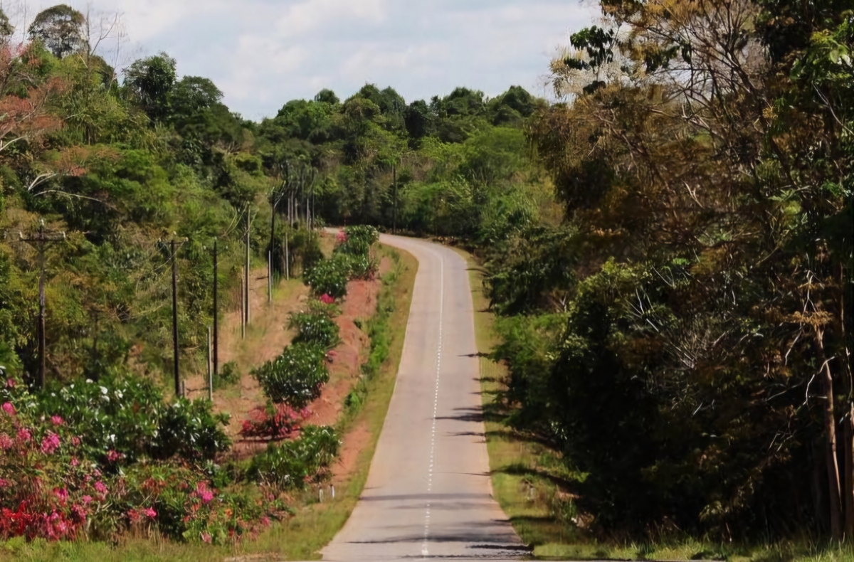 Sắc xuân trên Chiến khu D Sắc xuân trên Chiến khu D