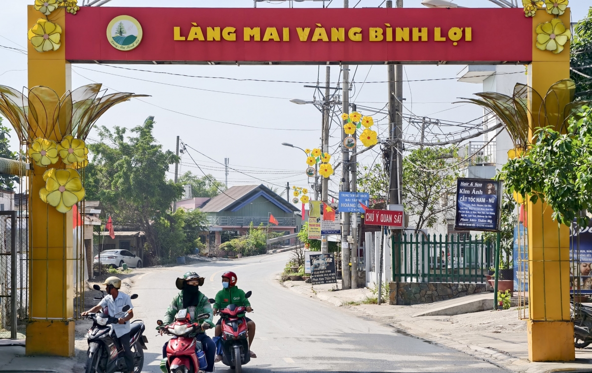Khát vọng Xuân mới ở làng mai vàng lớn nhất Việt Nam Khát vọng Xuân mới ở làng mai vàng lớn nhất Việt Nam