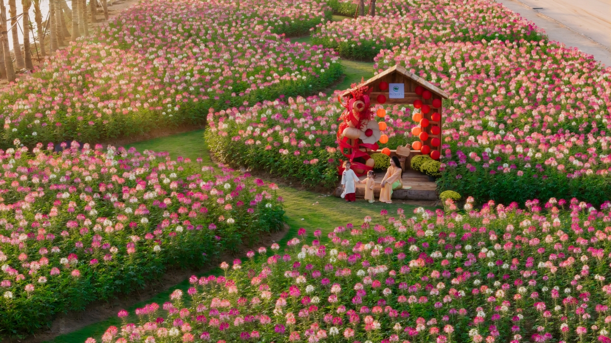 Tết giữa miền xanh tại các đại đô thị của nhà sáng lập Ecopark