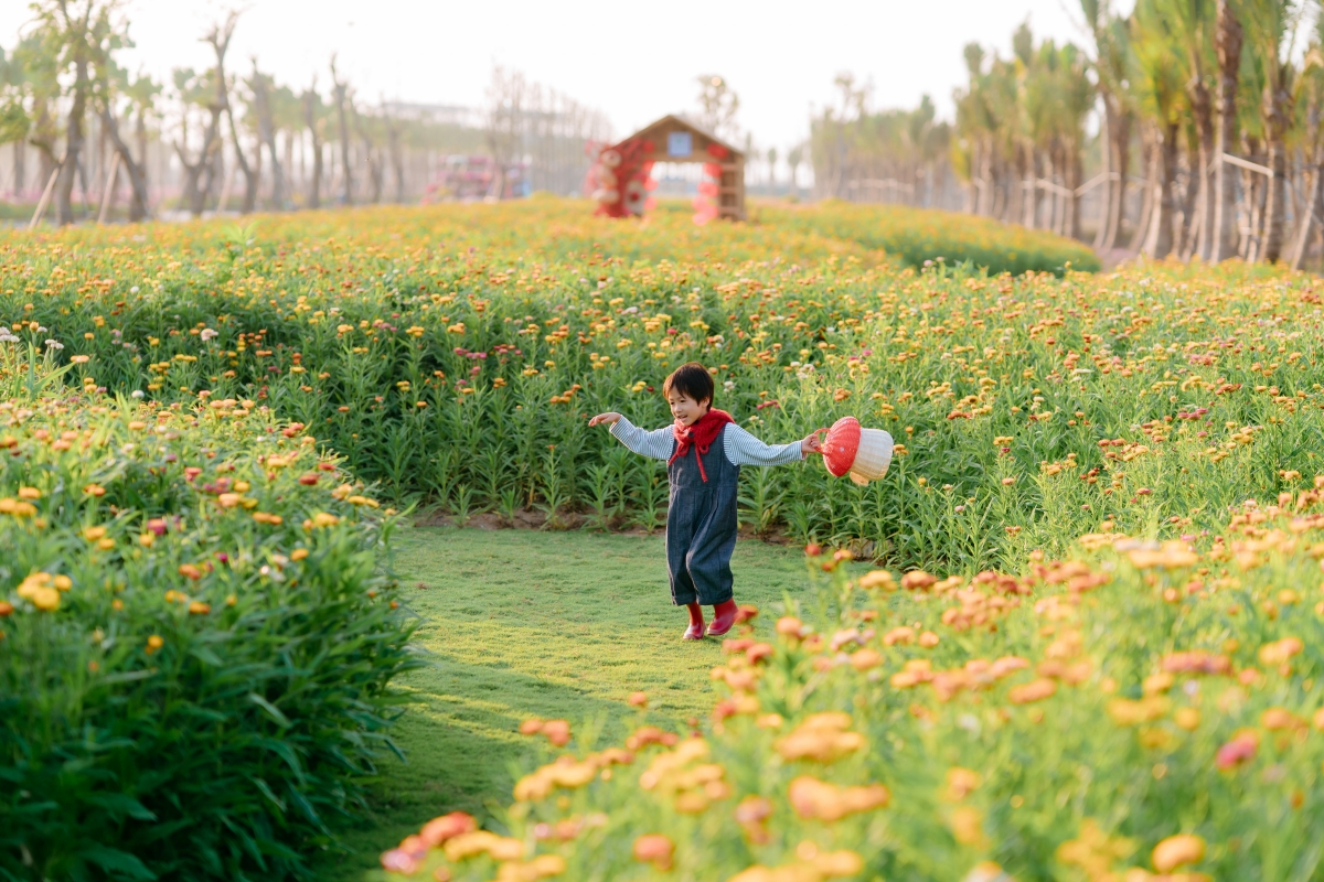 Tết giữa miền xanh tại các đại đô thị của nhà sáng lập Ecopark