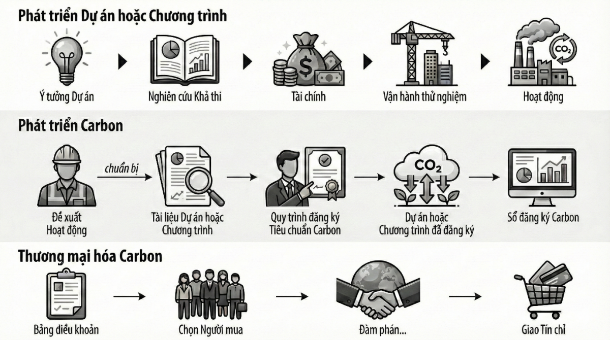 Phát triển dự án carbon xanh Phát triển dự án carbon xanh