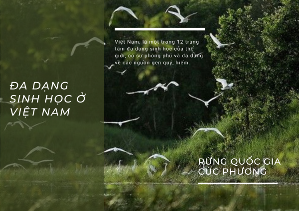 Nghiên cứu thiết kế cơ chế thử nghiệm có kiểm soát (sandbox) cho thị trường tín chỉ đa dạng sinh học tại Việt Nam