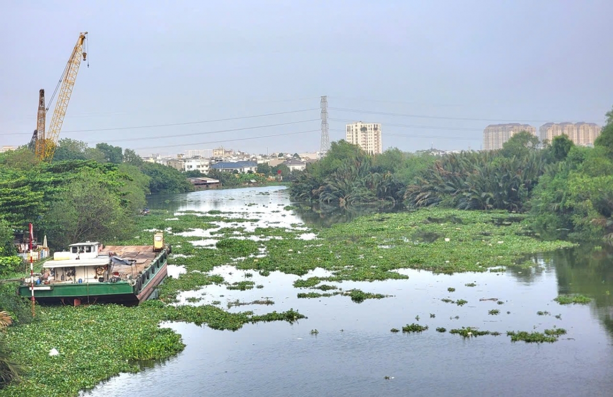 TP. HCM triển khai đồng bộ giải pháp xử lý lục bình và rác thải trôi từ các tuyến sông, kênh trôi dạt vào các bãi biển. TP. HCM triển khai đồng bộ giải pháp xử lý lục bình và rác thải trôi từ các tuyến sông, kênh trôi dạt vào các bãi biển.