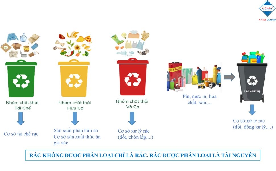 Phân loại rác - hành động nhỏ, ý nghĩa lớn Phân loại rác - hành động nhỏ, ý nghĩa lớn