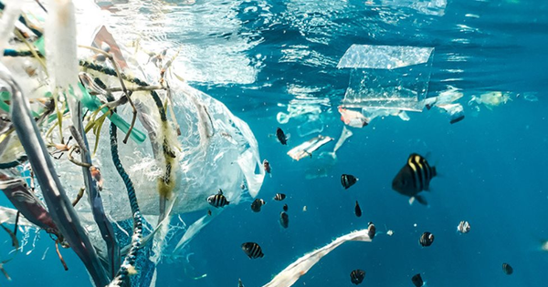 Vi nhựa đe dọa vai trò điều hòa khí hậu của đại dương