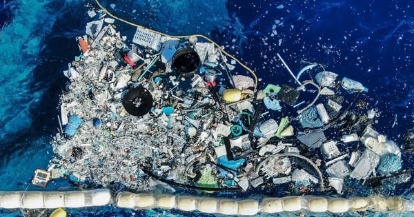 80% rác thải nhựa đại dương bắt nguồn từ đất liền