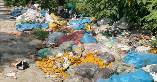 Hà Nội xuất hiện các điểm tập kết rác tự phát sau khi thay đổi cơ chế quản lý
