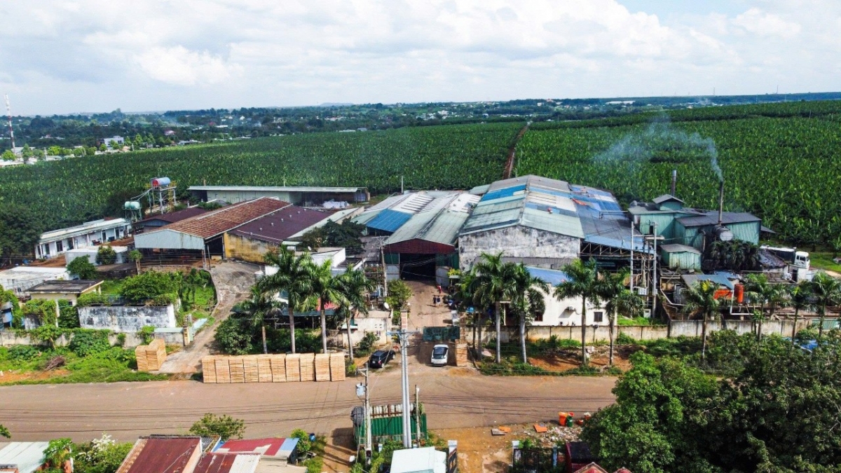 TP. Hồ Chí Minh: Quyết liệt xử lý doanh nghiệp chế biến cao su vi phạm môi trường TP. Hồ Chí Minh: Quyết liệt xử lý doanh nghiệp chế biến cao su vi phạm môi trường