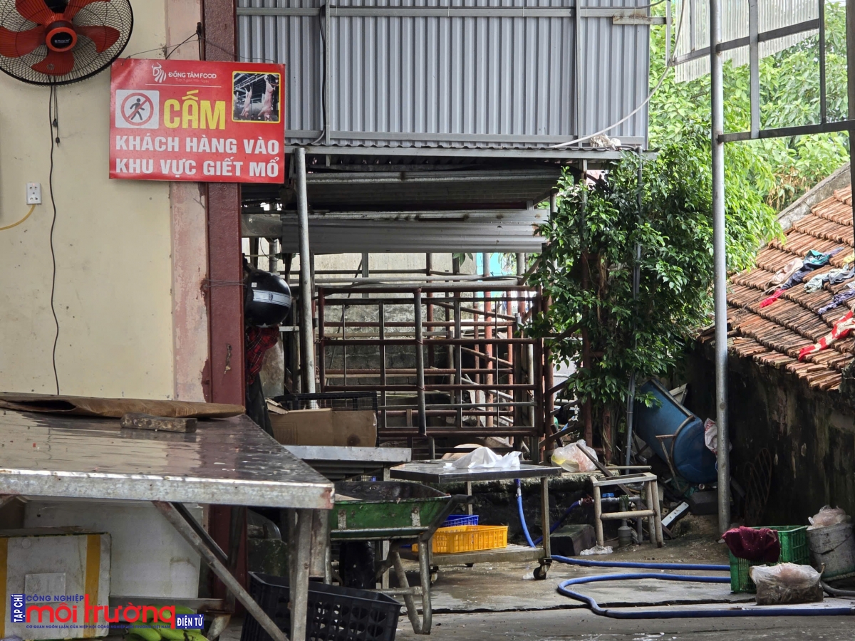 Xã Hồng Phong (Ninh Bình): Lò giết mổ gia súc hoạt động ngày đêm trong khu dân cư, gây mất an toàn môi trường Xã Hồng Phong (Ninh Bình): Lò giết mổ gia súc hoạt động ngày đêm trong khu dân cư, gây mất an toàn môi trường