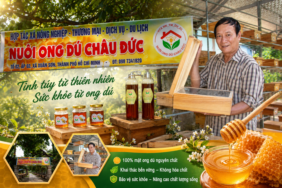 Xã Xuân Sơn, TP.HCM: Phát triển nông nghiệp gắn với du lịch bền vững Xã Xuân Sơn, TP.HCM: Phát triển nông nghiệp gắn với du lịch bền vững