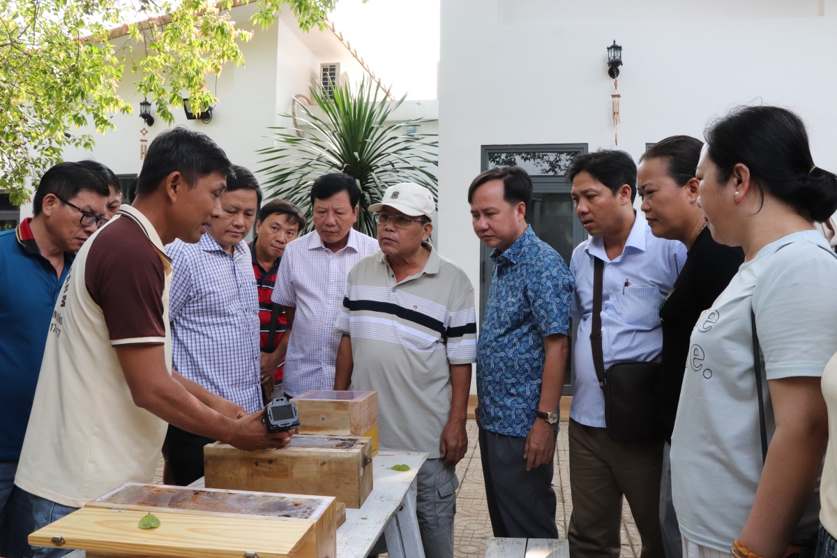 Xã Xuân Sơn, TP.HCM: Phát triển nông nghiệp gắn với du lịch bền vững Xã Xuân Sơn, TP.HCM: Phát triển nông nghiệp gắn với du lịch bền vững