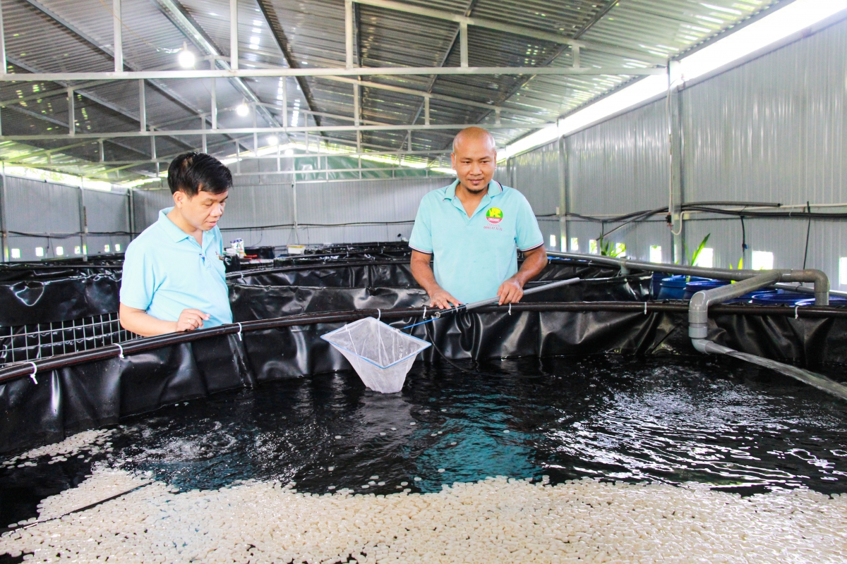Agribank Châu Đức đẩy mạnh tín dụng ưu đãi và chuyển đổi số, đồng hành cùng doanh nghiệp, người dân phát triển kinh tế bền vững Agribank Châu Đức đẩy mạnh tín dụng ưu đãi và chuyển đổi số, đồng hành cùng doanh nghiệp, người dân phát triển kinh tế bền vững