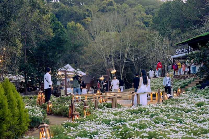 Festival Hoa Đà Lạt 2026: Lan tỏa giá trị xanh, nâng tầm thương hiệu đô thị sáng tạo UNESCO Festival Hoa Đà Lạt 2026: Lan tỏa giá trị xanh, nâng tầm thương hiệu đô thị sáng tạo UNESCO