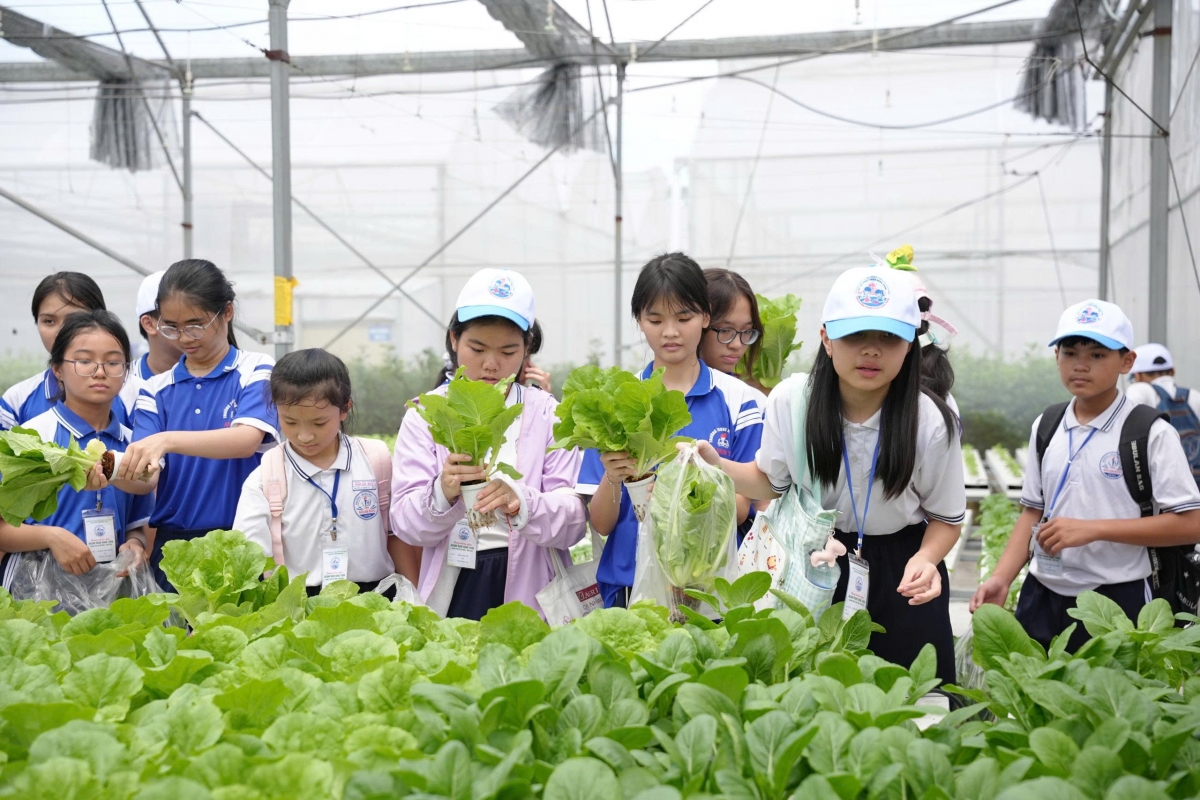 Học sinh TP.HCM tham quan, trải nghiệm nông nghiệp công nghệ cao Học sinh TP.HCM tham quan, trải nghiệm nông nghiệp công nghệ cao