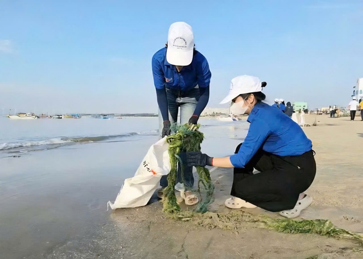 Gia Lai tăng cường bảo vệ môi trường, xử lý nghiêm các hành vi, vi phạm về môi trường