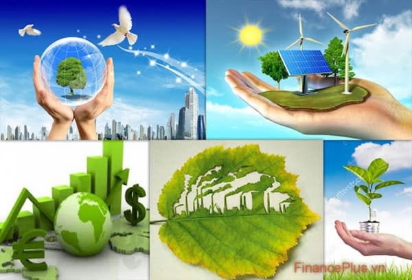 Quy định mới về hoạt động thanh tra chuyên ngành bảo vệ môi trường