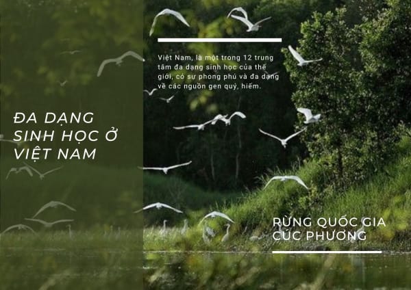 Nghiên cứu thiết kế cơ chế thử nghiệm có kiểm soát (sandbox) cho thị trường tín chỉ đa dạng sinh học tại Việt Nam