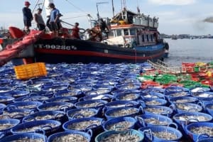 Gỡ “điểm nghẽn” ô nhiễm môi trường trong các hoạt động thủy sản