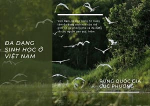Nghiên cứu thiết kế cơ chế thử nghiệm có kiểm soát (sandbox) cho thị trường tín chỉ đa dạng sinh học tại Việt Nam