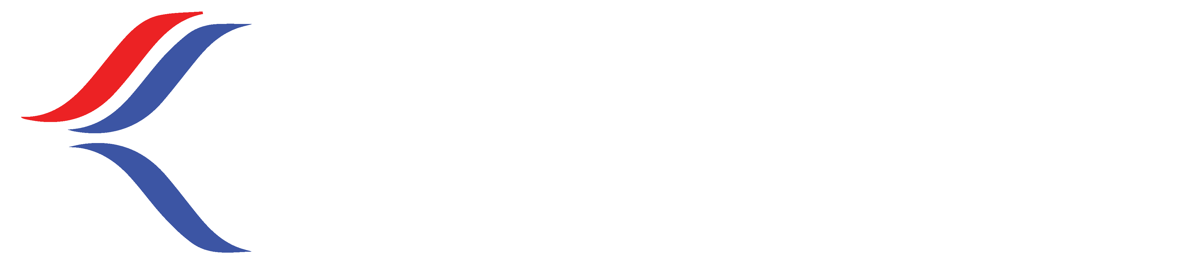 KDM Logo Transparent - White