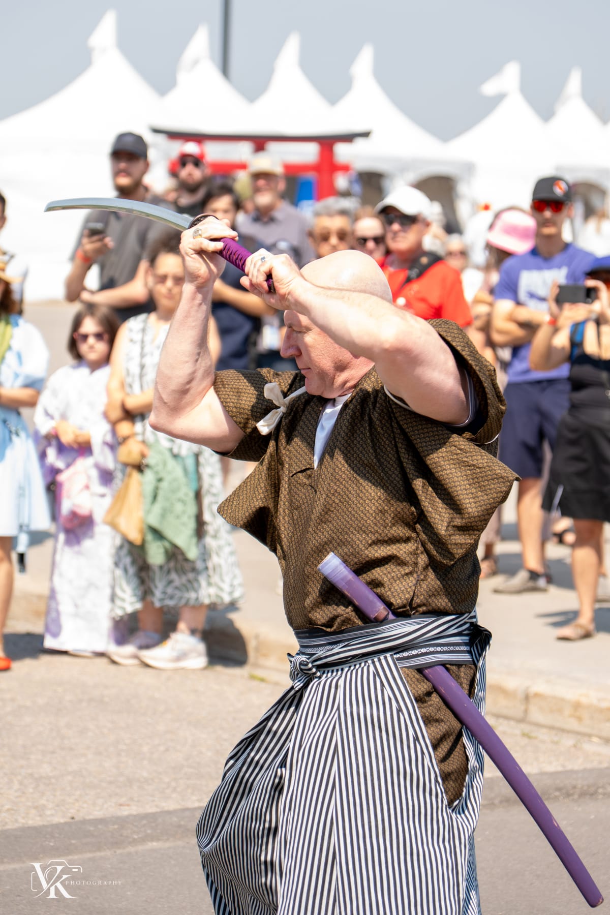 Japan Festival photo 13