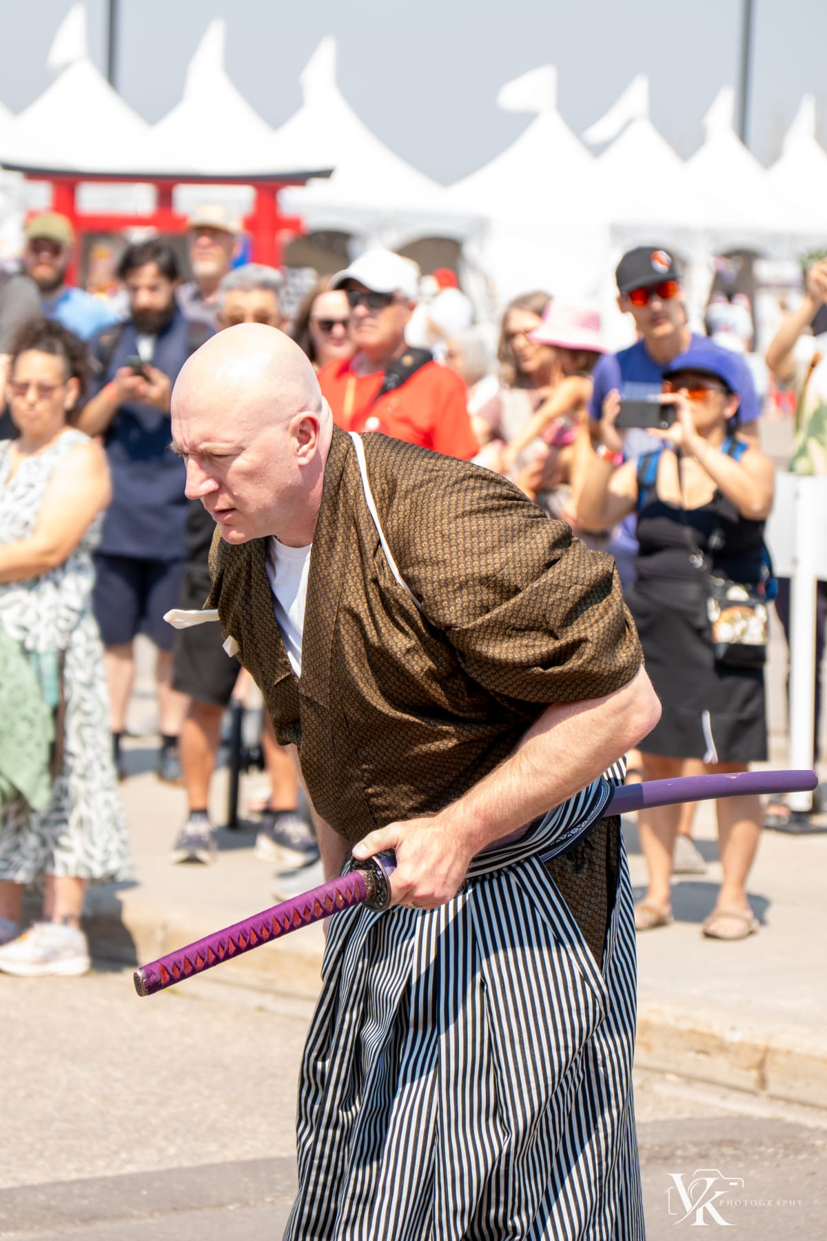 Japan Festival photo 14