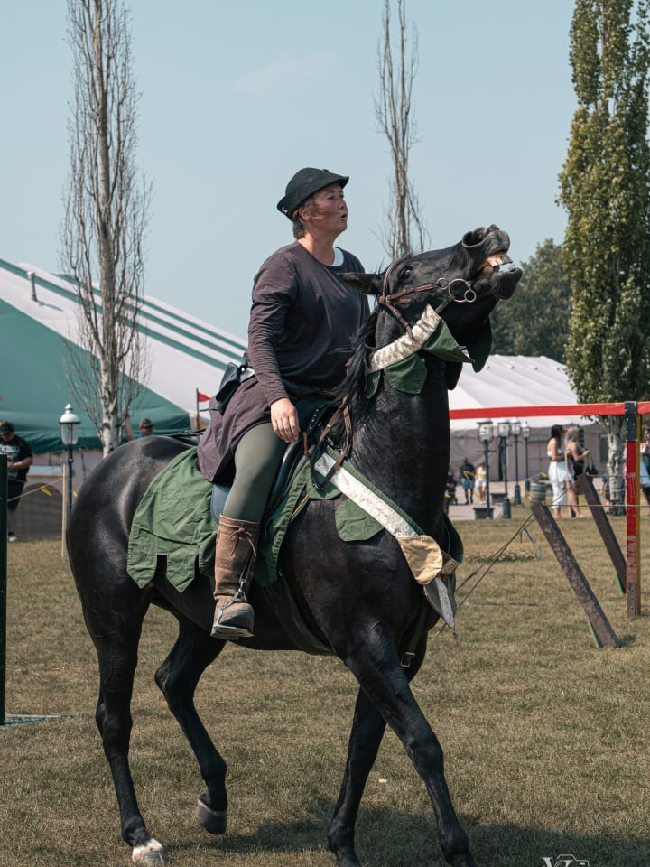 Heritage Horses photo 02
