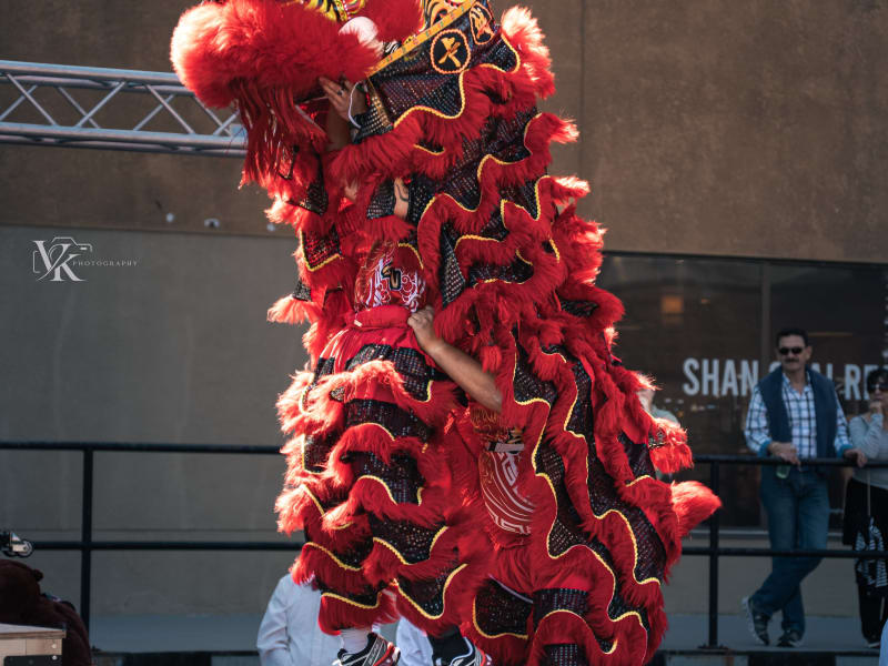 China Town Festival photo 01