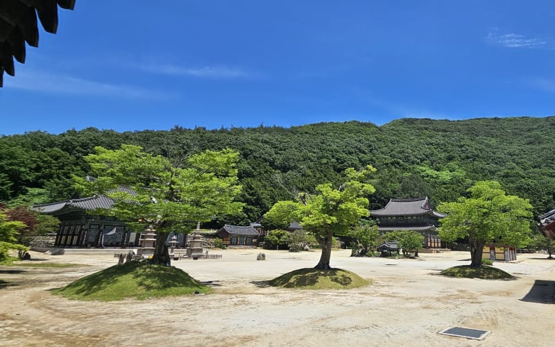 보림사 소개 사진 1