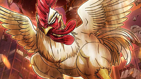 Rooster Fighter artwork