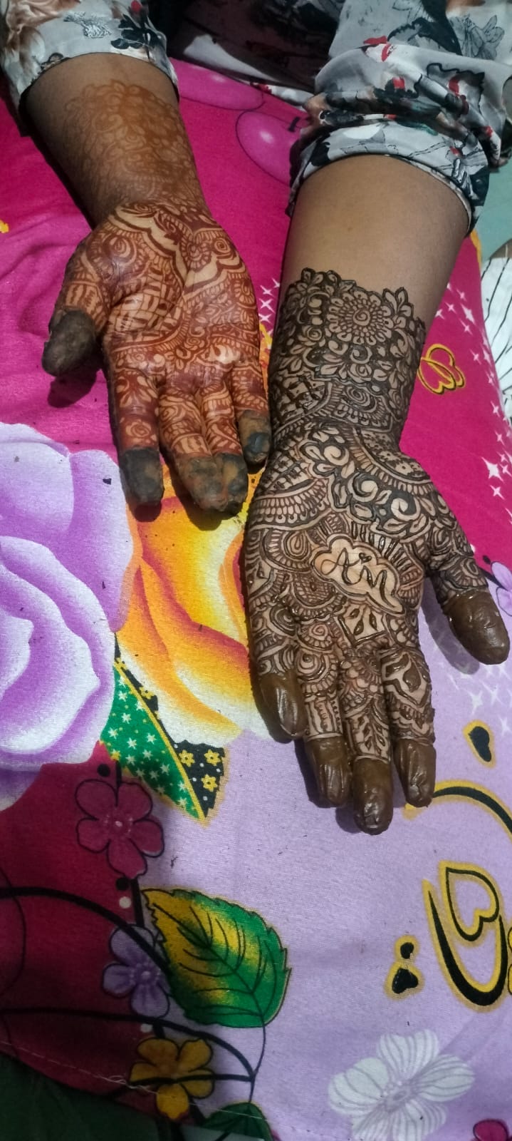 Ameena khanum portfolio 1
