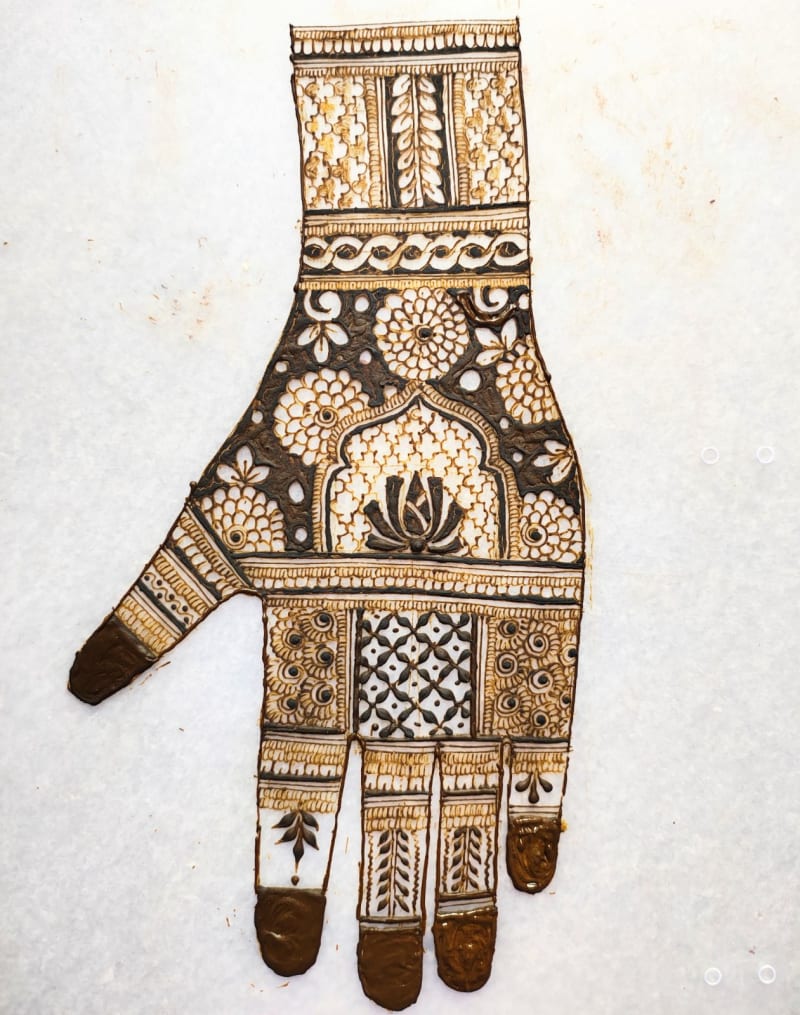 Bhavya Mahipalsinh Vaghela portfolio 2