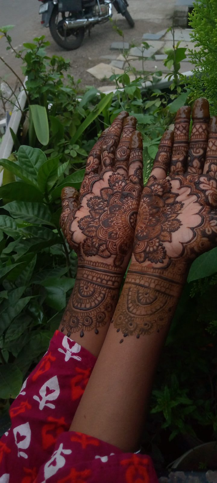 Vishakha mohane portfolio 5